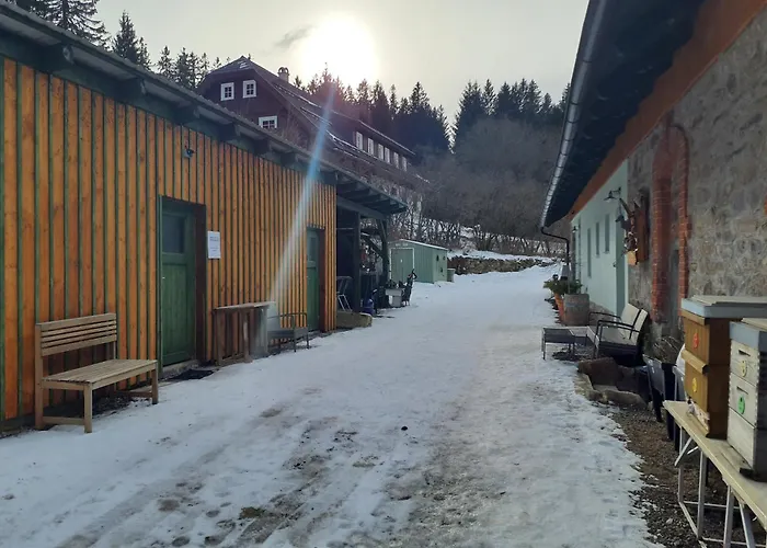 Steinhaus / Kamenny Dum Lägenhet Zdíkov